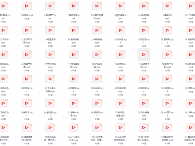 99套小吃配方+创业落地指南总共80G（价值3999）